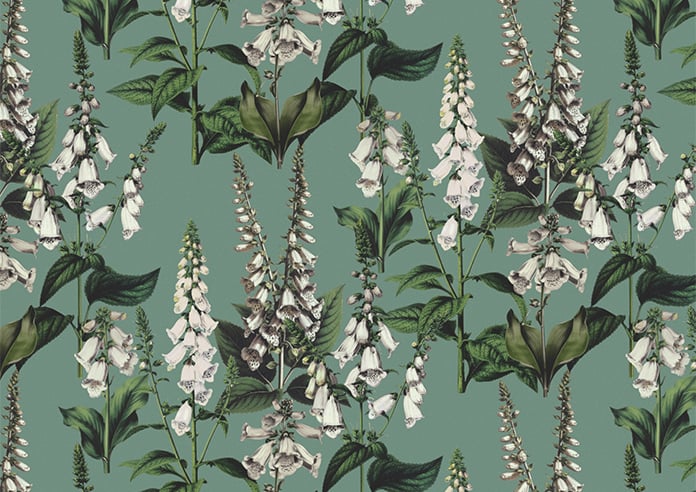 Foxcote, Daws - Twist&Fit Roller Blind - Image 6